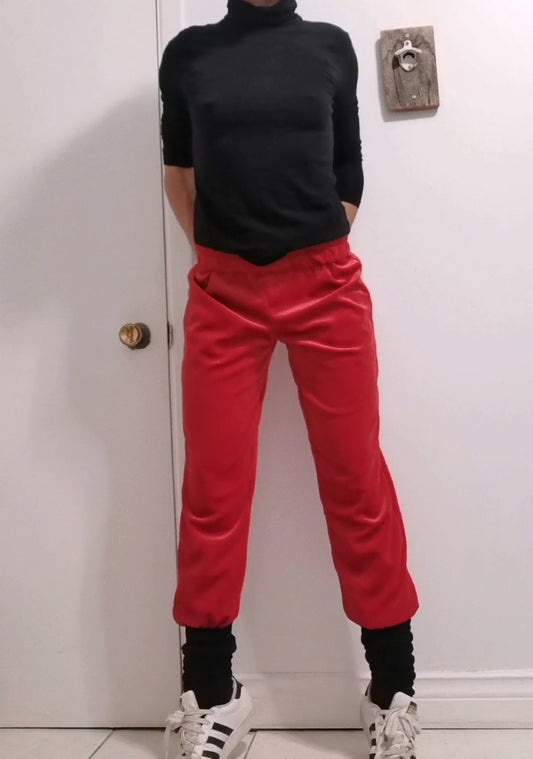 Velvet jogger pants