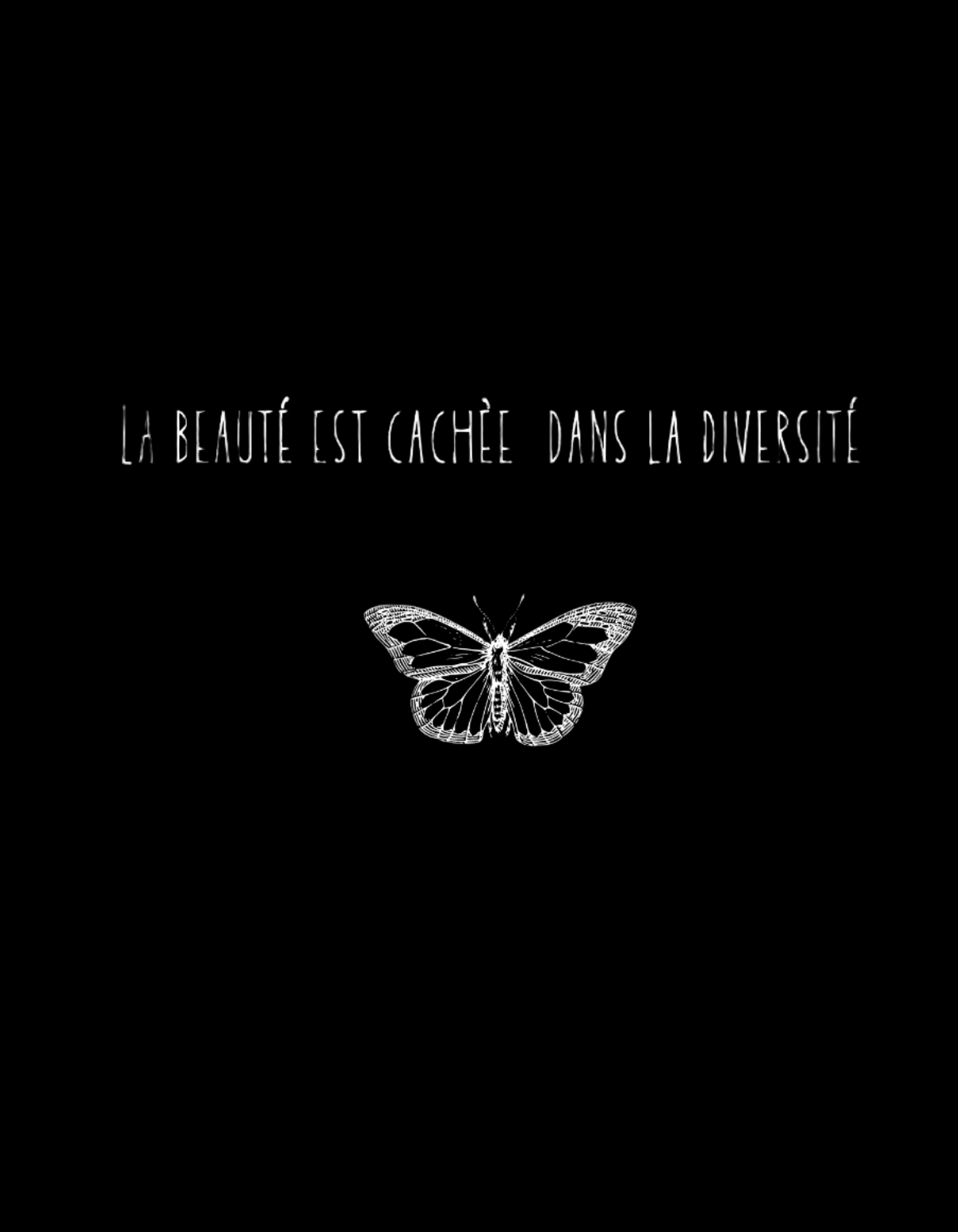 T-shirt unisexe &  impressions anglais